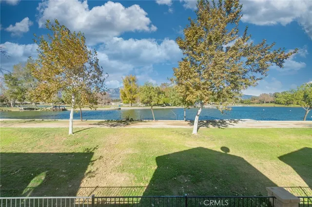 a view of a yard with plants and large trees