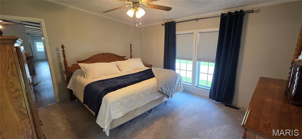 18371 Perry Road Pittsburg, IL 62974 - Photo 29 of 61