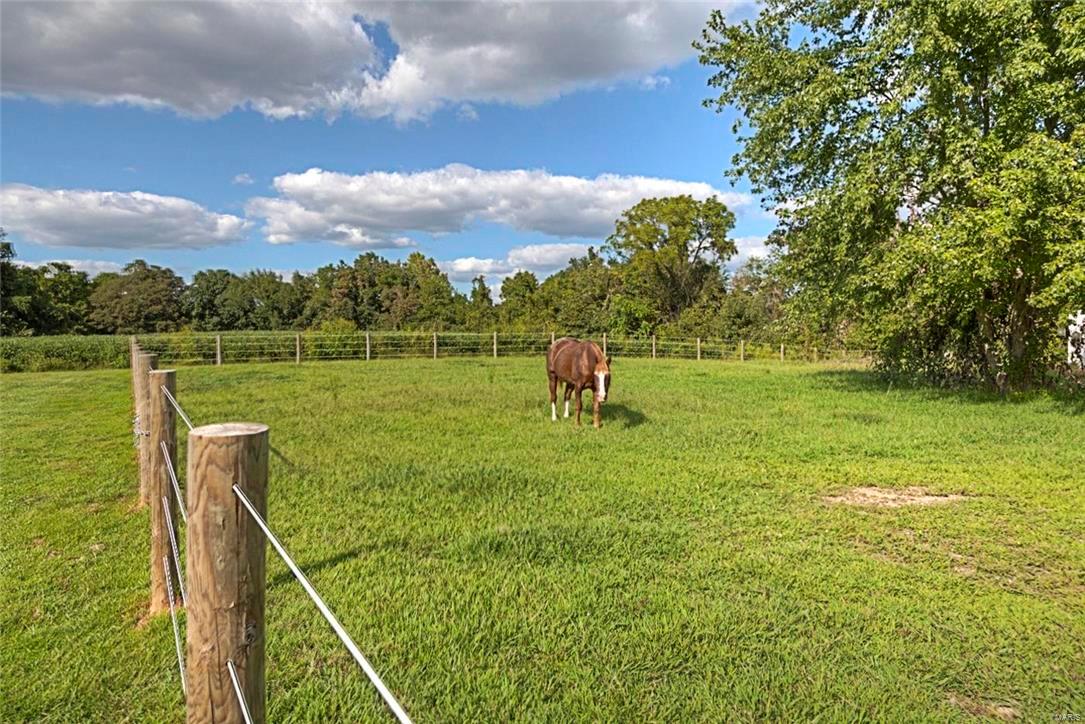 2719 Imbs Station Road Millstadt, IL 62260 - Photo 52 of 59 Gallery Image 52