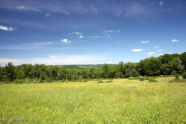 New Turnpike Road Cochecton, NY 12726 - Photo 2 of 9