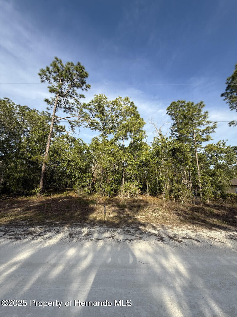 Lot 9 Macassar Road Weeki Wachee, FL 34614 - Photo 1 of 4