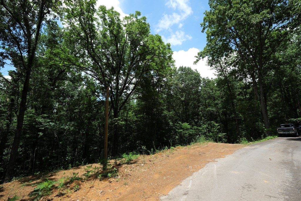 0 Blowing Cave Road Sevierville, TN 37876 - Photo 3 of 34 Gallery Image 3