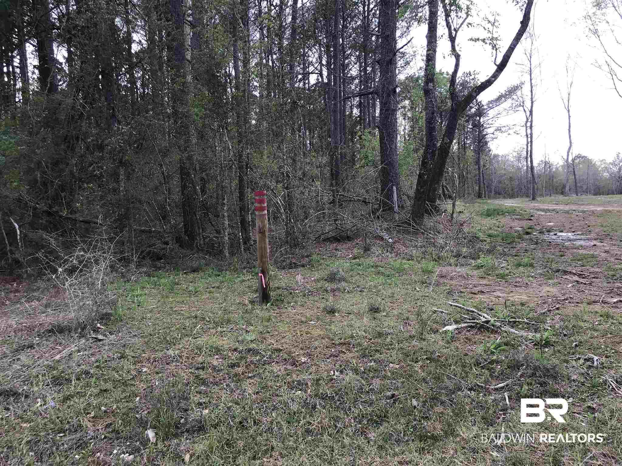 0 County Road 39 Stapleton, AL 36578 - Photo 12 of 18 Gallery Image 12
