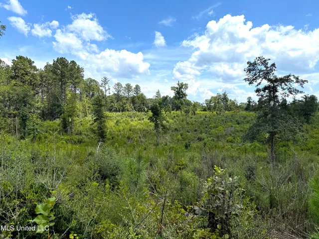 $75,000 | Cd Rayborn Rd Road, Jayess, MS 39641
