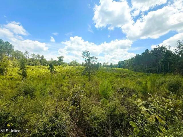 $75,000 | Cd Rayborn Rd Road, Jayess, MS 39641
