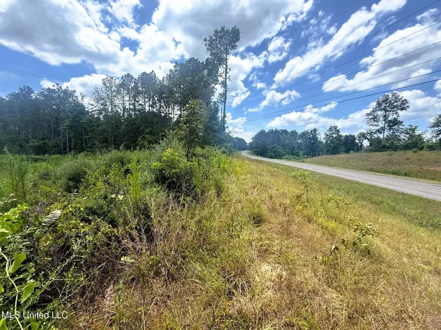 $75,000 | Cd Rayborn Rd Road, Jayess, MS 39641