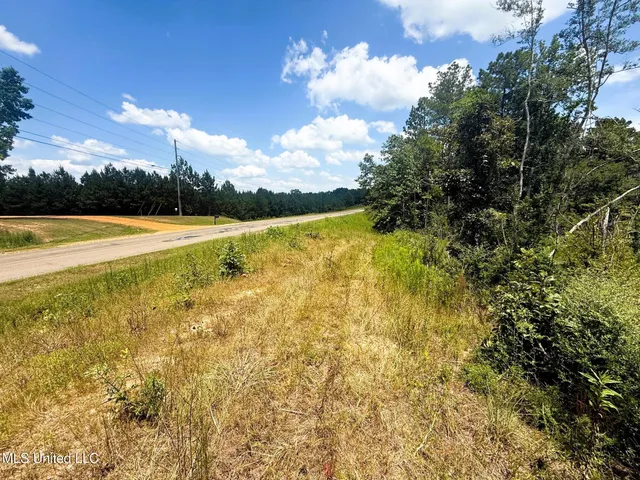 $75,000 | Cd Rayborn Rd Road, Jayess, MS 39641