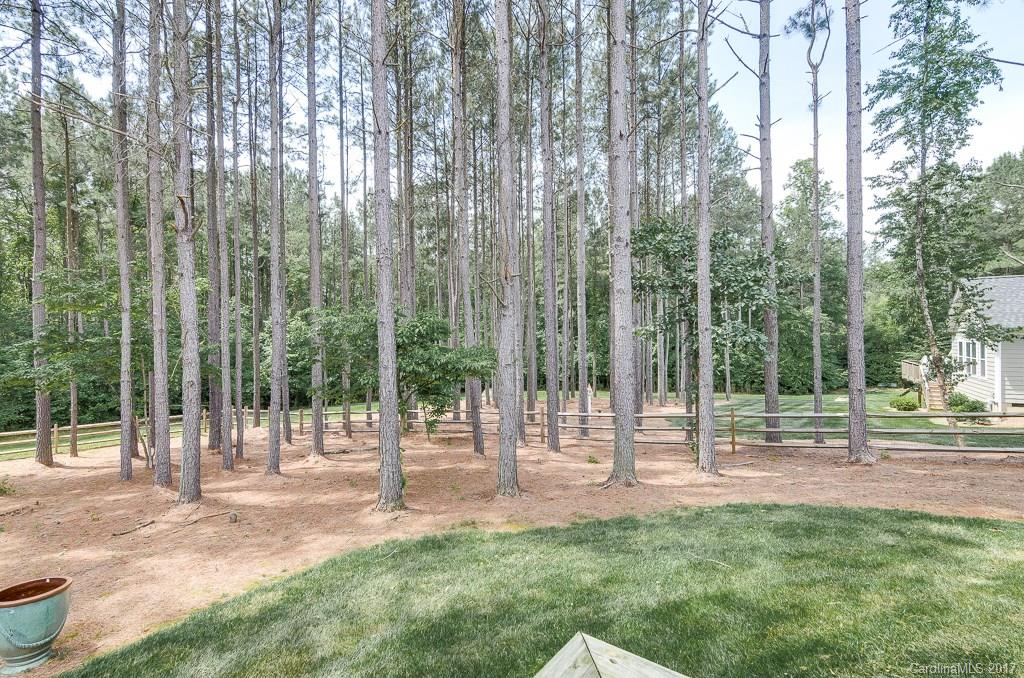 234 Streamwood Road Troutman, NC 28166 - Photo 23 of 24 Gallery Image 23