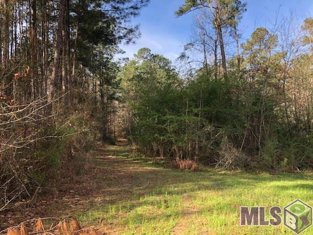 4053 Busy Corner Road Gloster, MS 39638 - Photo 6 of 15