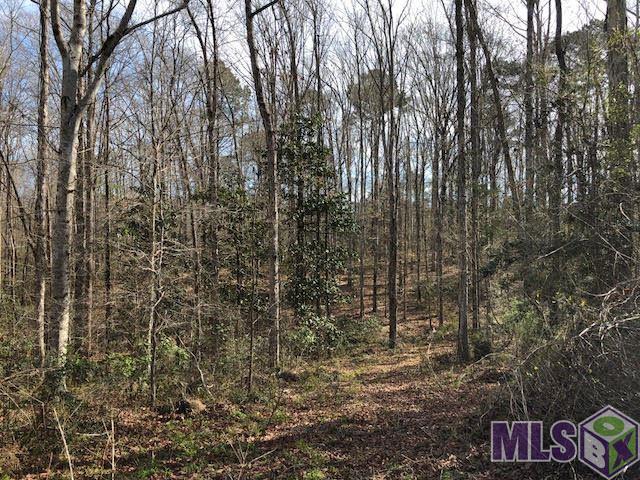 4053 Busy Corner Road Gloster, MS 39638 - Photo 8 of 15