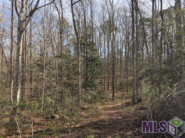 4053 Busy Corner Road Gloster, MS 39638 - Photo 10 of 15