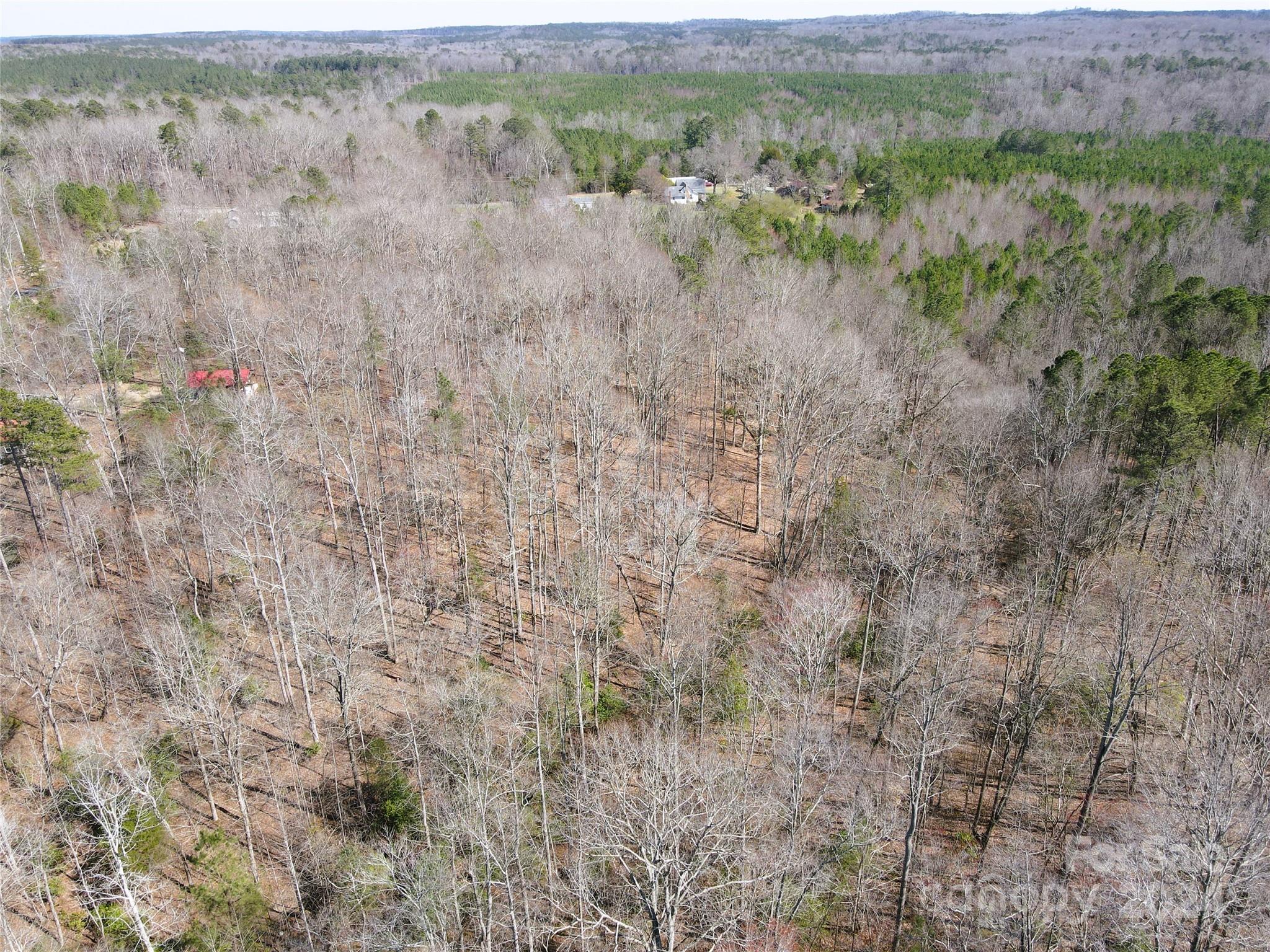 0 Lewis Road Mount Gilead, NC 27306 - Photo 18 of 21 Gallery Image 18