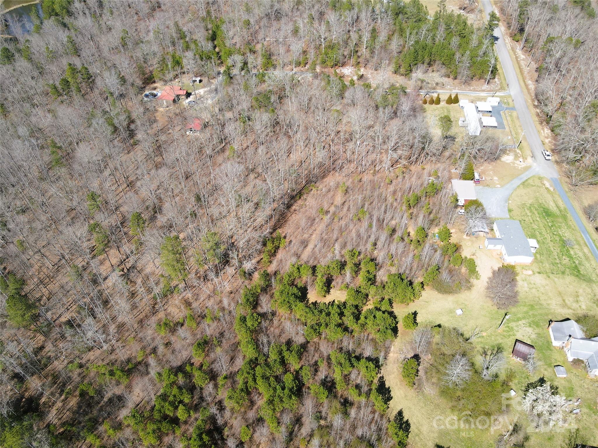 0 Lewis Road Mount Gilead, NC 27306 - Photo 3 of 21 Gallery Image 3