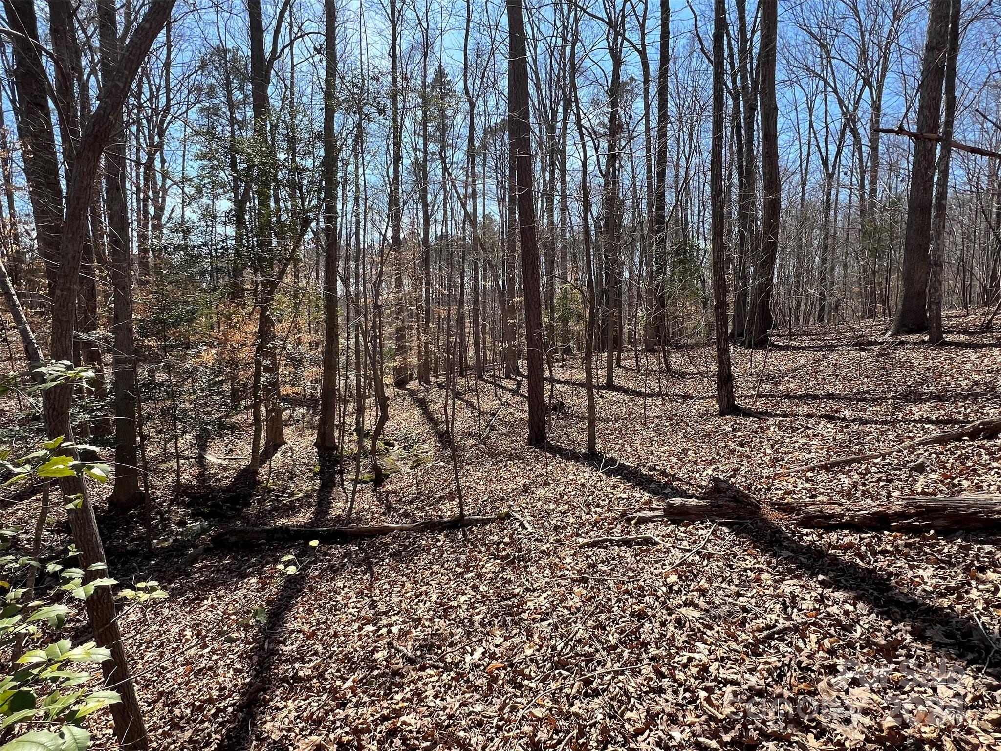 0 Lewis Road Mount Gilead, NC 27306 - Photo 6 of 21 Gallery Image 6