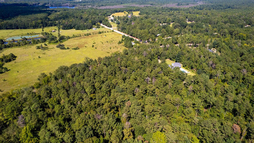 6550 Catchall Road Dalzell, SC 29040 - Photo 5 of 12