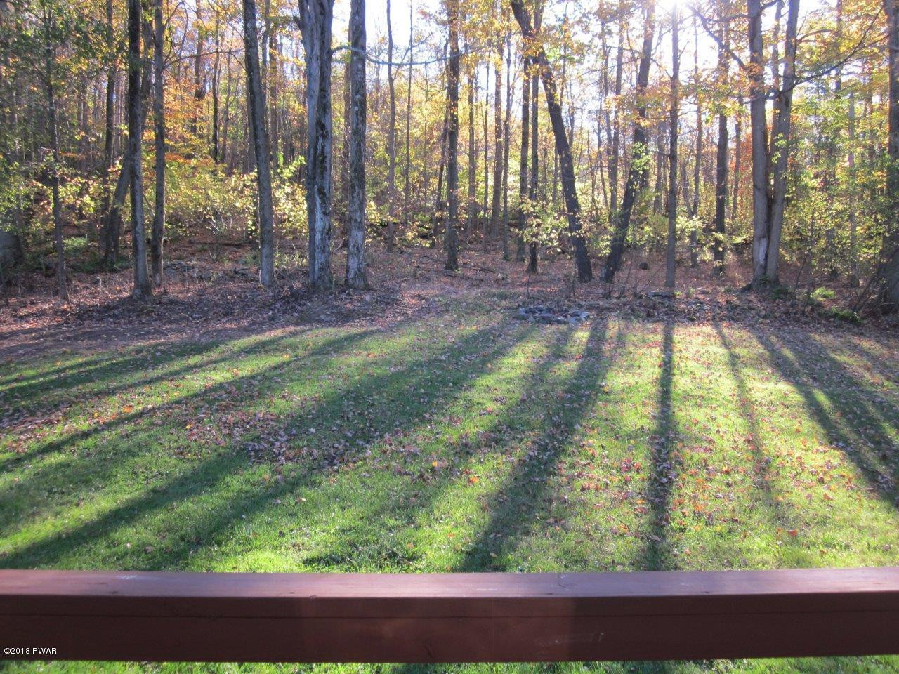 59 Sterling Road Newfoundland, PA 18445 - Photo 20 of 23 Back yard of ranch home