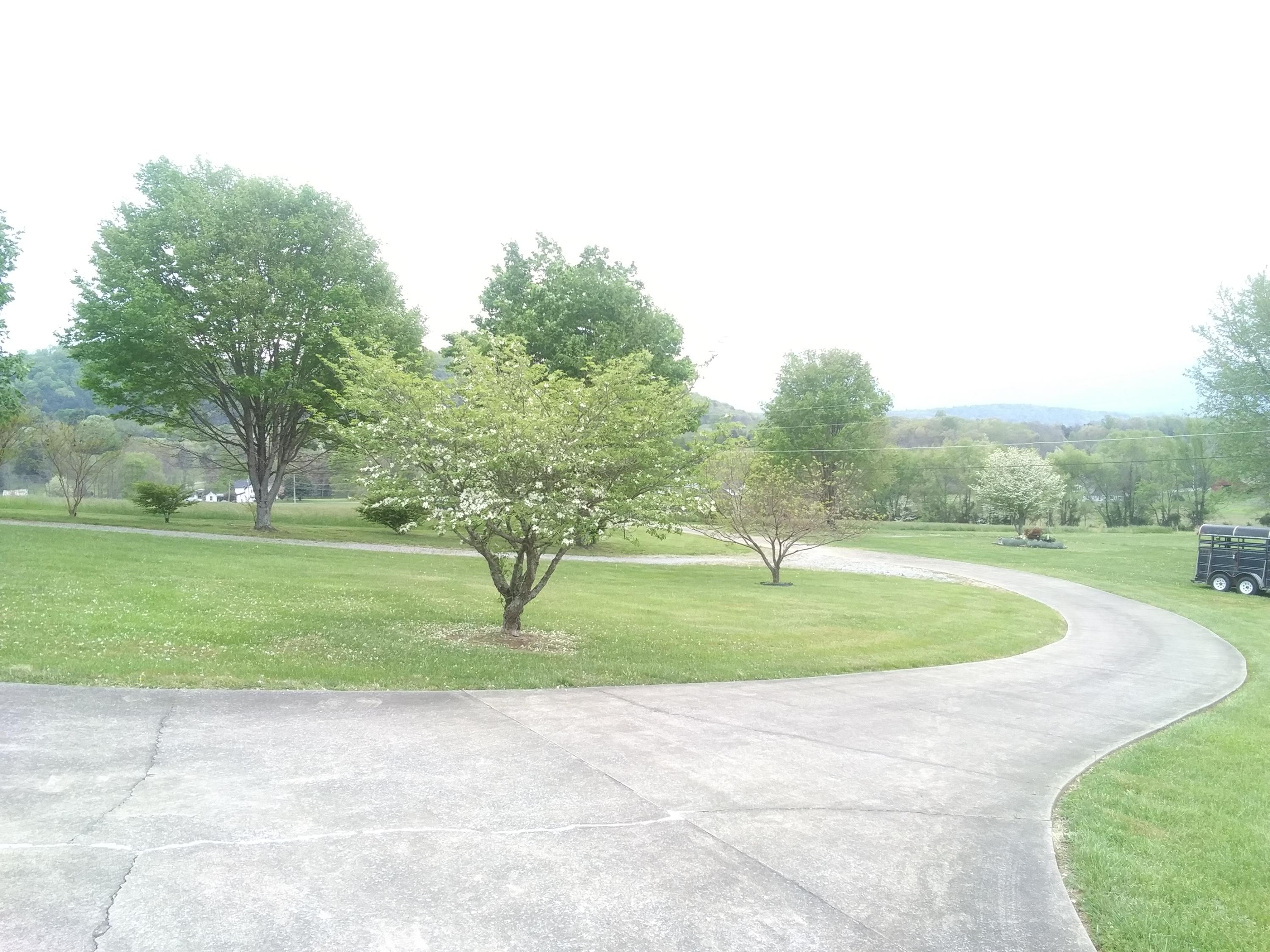 1917 Stone Dam Road Chuckey, TN 37641 - Photo 15 of 24 0428211115