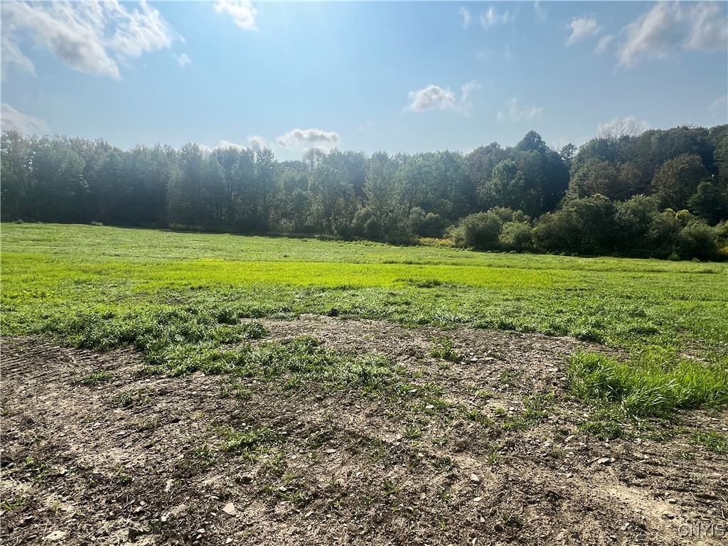 165 Graham Road Smyrna, NY 13464 - Photo 11 of 14