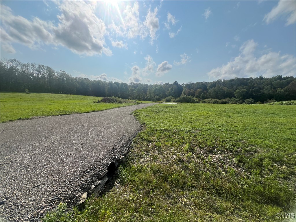 165 Graham Road Smyrna, NY 13464 - Photo 12 of 14 Gravel driveway