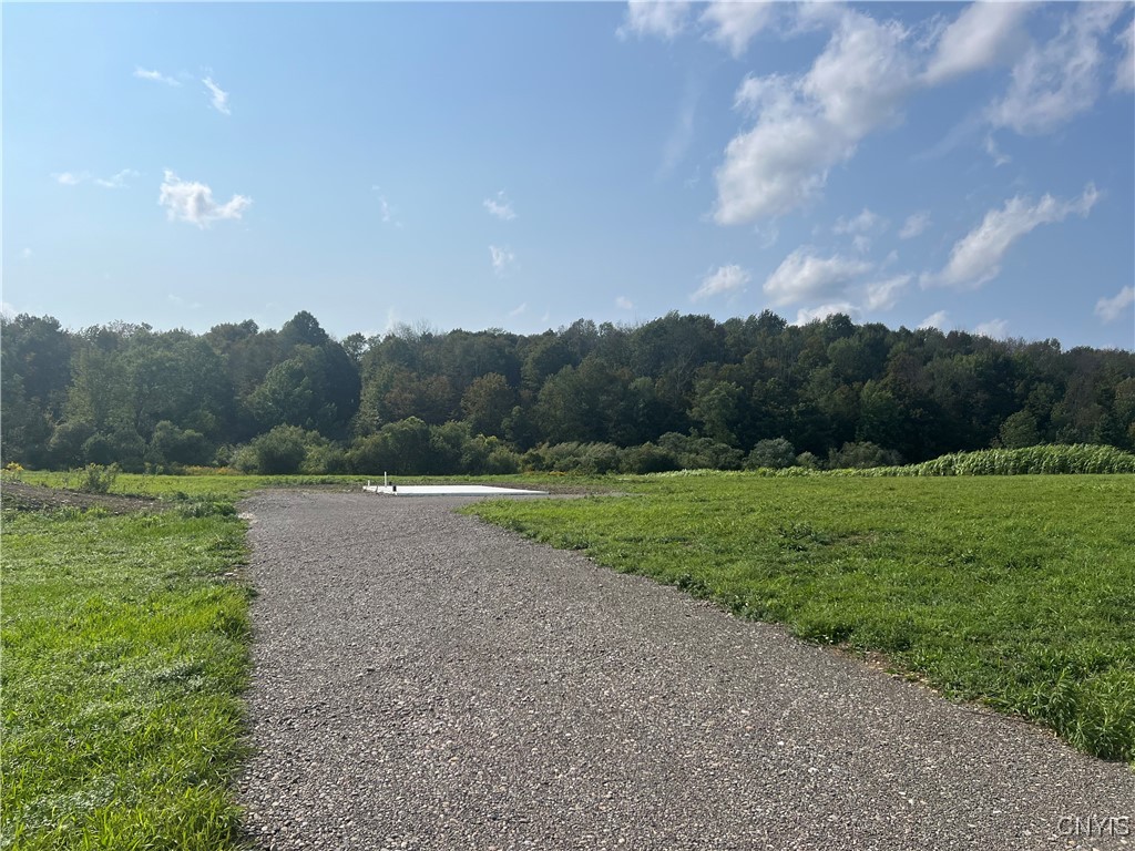 165 Graham Road Smyrna, NY 13464 - Photo 2 of 14