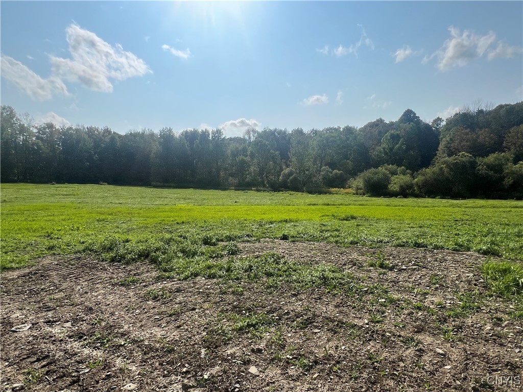 165 Graham Road Smyrna, NY 13464 - Photo 7 of 14