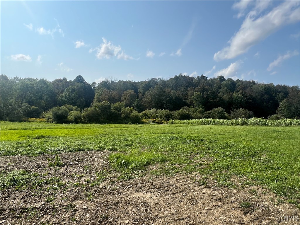 165 Graham Road Smyrna, NY 13464 - Photo 8 of 14