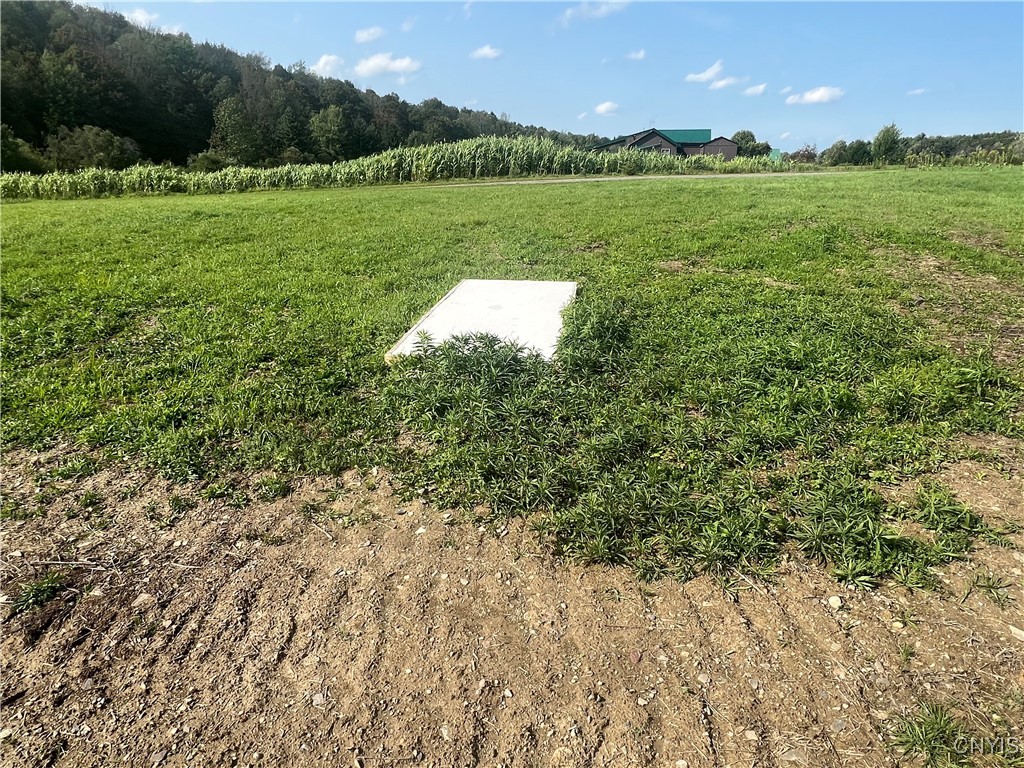 165 Graham Road Smyrna, NY 13464 - Photo 9 of 14