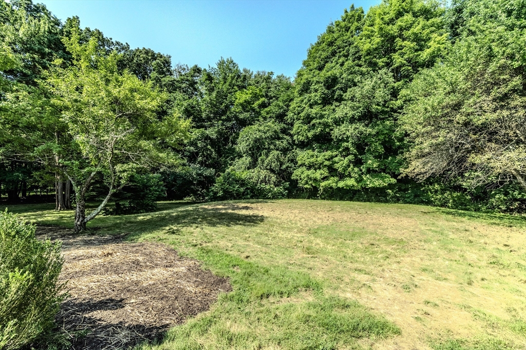 176 Flat Hills Road Amherst, MA 01002 - Photo 10 of 42