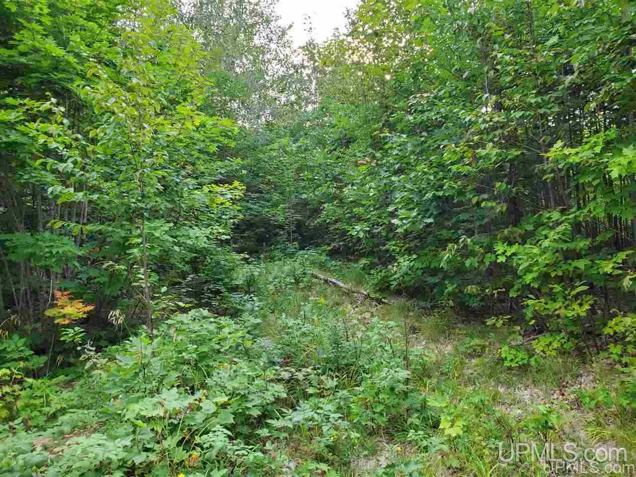 Tbd Tbd Holyoak Negaunee, MI 49866 - Photo 6 of 10