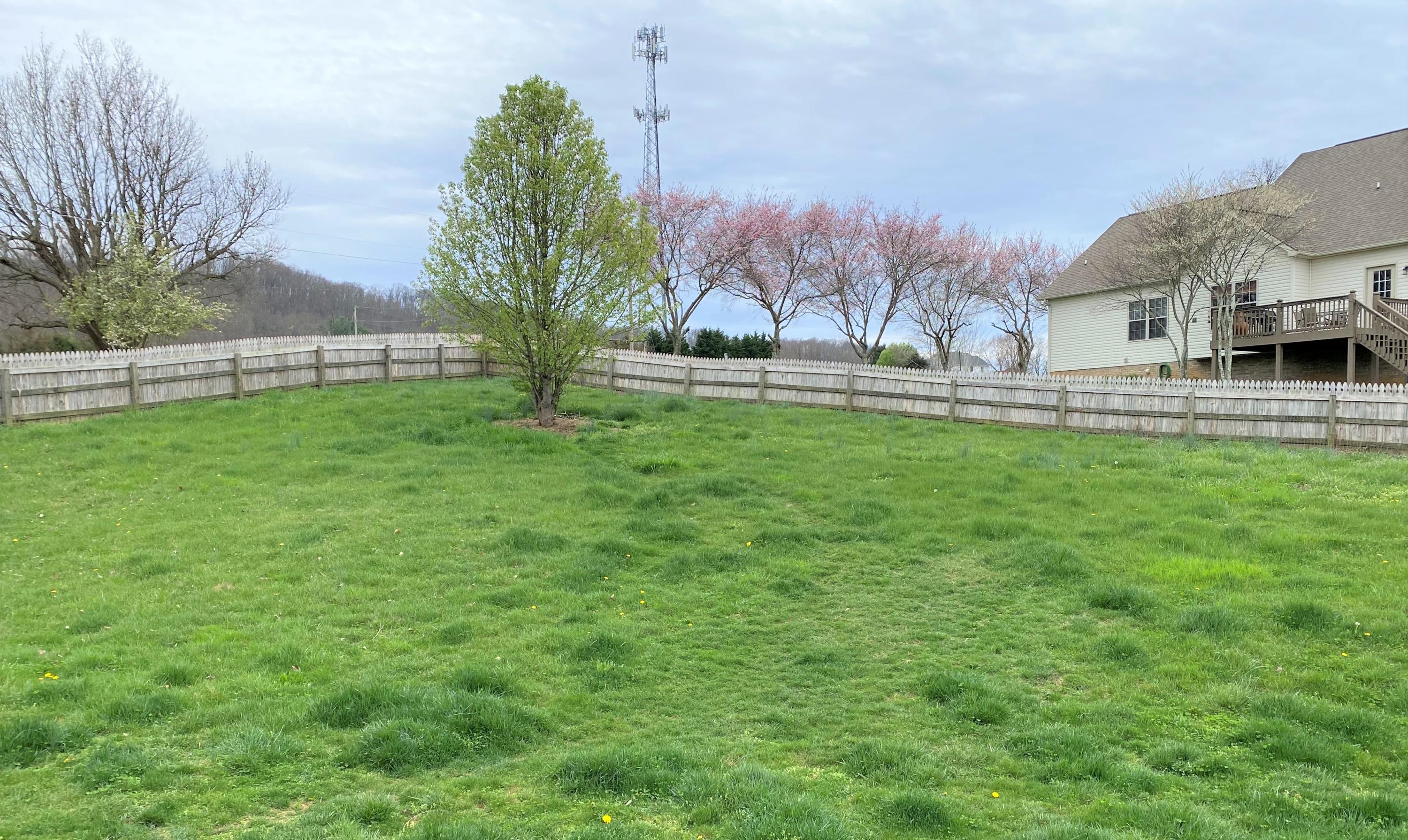 4145 Timberlake Road Johnson City, TN 37601 - Photo 35 of 37 35