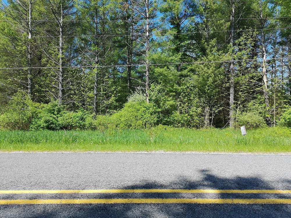 V/l Bass Lake Road Lupton, MI 48635 - Photo 4 of 15