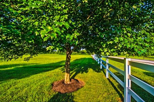 Evans Road, Unit 3 Knoxville, TN 37934 - Photo 2 of 5 Evans Rd Fence