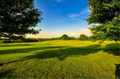 Evans Road, Unit 3 Knoxville, TN 37934 - Photo 3 of 5 Evans Road Field_edited
