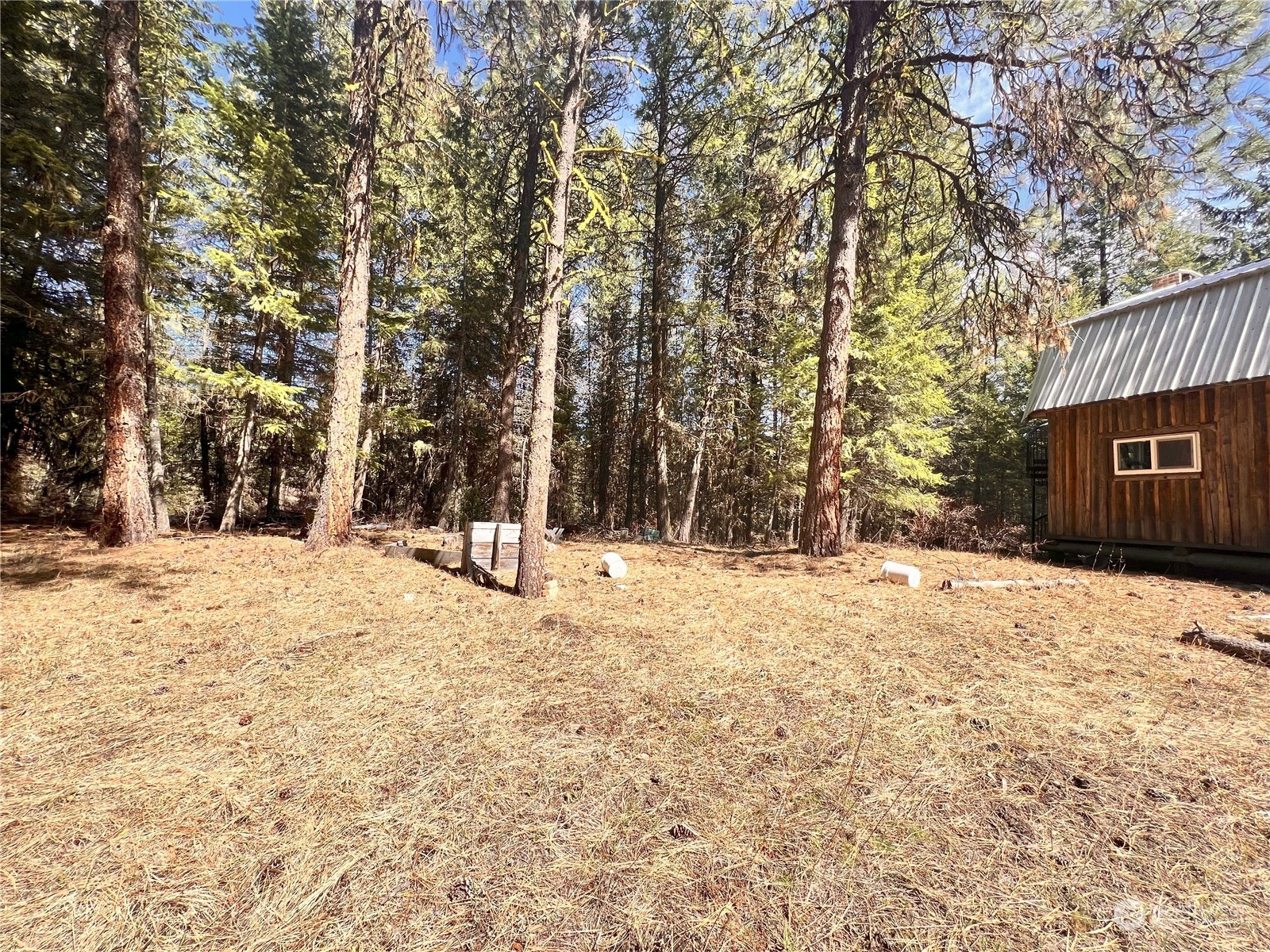 173 Ottis Road Malo, WA 99150 - Photo 17 of 29 Gallery Image 17