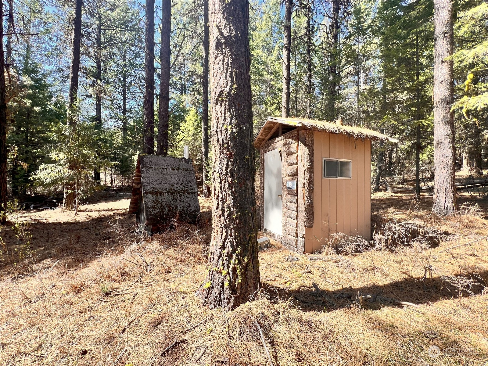 173 Ottis Road Malo, WA 99150 - Photo 18 of 29 Gallery Image 18