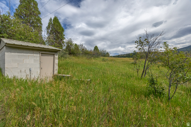 322 Bailey Creek Road Soda Springs, ID 83276 - Photo 30 of 32 Expansive green field featuring a concrete block structure with a metal roof and a solid door, surrounded by mature trees