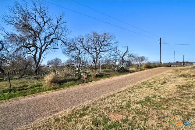 a view of large tree with wooden fence
