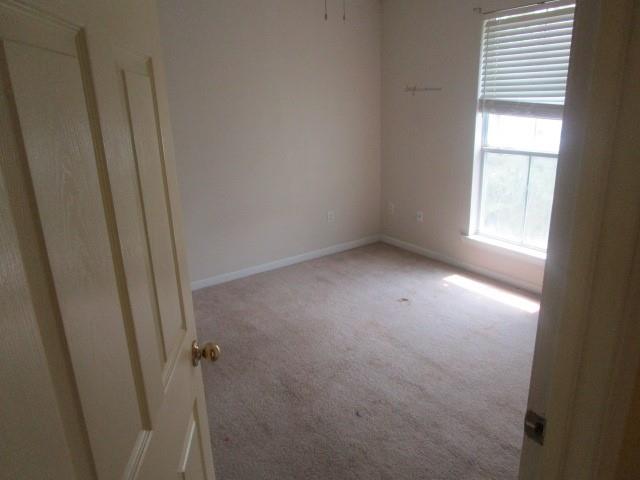 36062 Raleigh Drive Denham Springs, LA 70706 - Photo 19 of 20