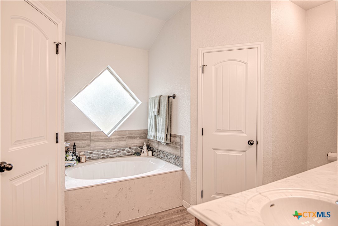 2520 Nolan Creek Street Temple, TX 76504 - Photo 18 of 32 a bathroom with a sink and a bathtub