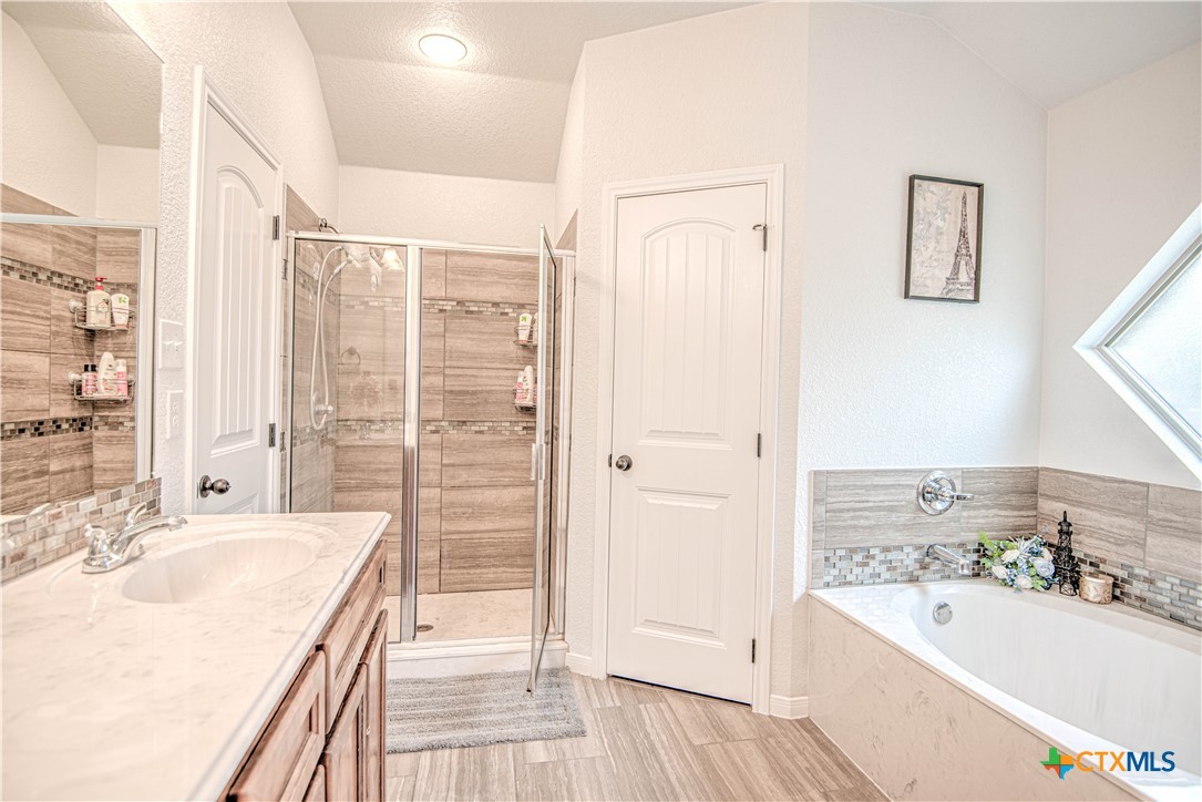 2520 Nolan Creek Street Temple, TX 76504 - Photo 20 of 32 a bathroom with a tub a sink and a large mirror