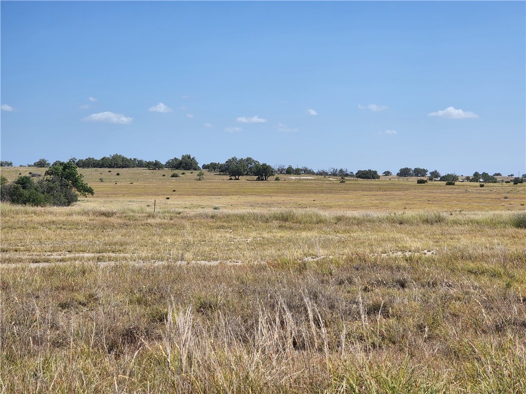 2253 Jung Road Harper, TX 78631 - Photo 1 of 1 Gallery Image 1