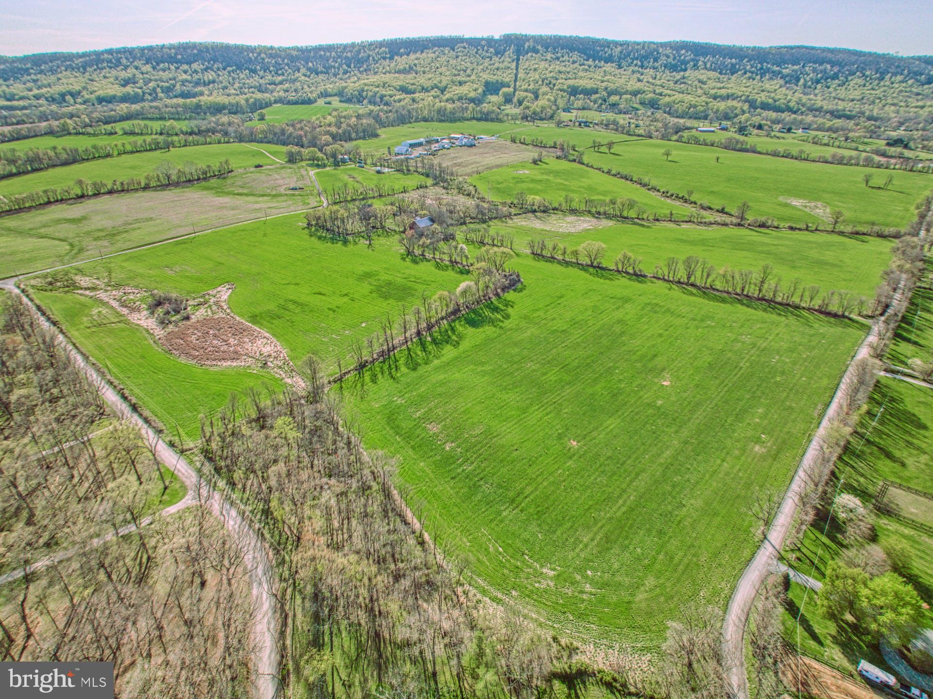 12347 Axline Road Lovettsville, VA 20180 - Photo 1 of 16 a view of a lush green field