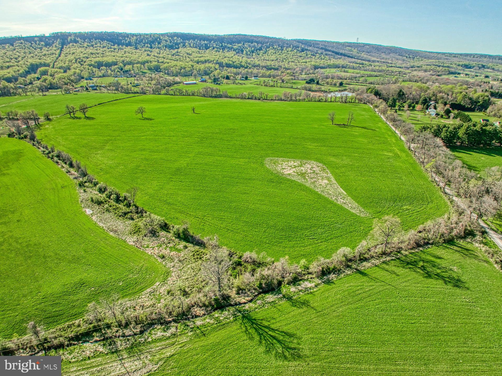 12347 Axline Road Lovettsville, VA 20180 - Photo 11 of 16 a view of a city