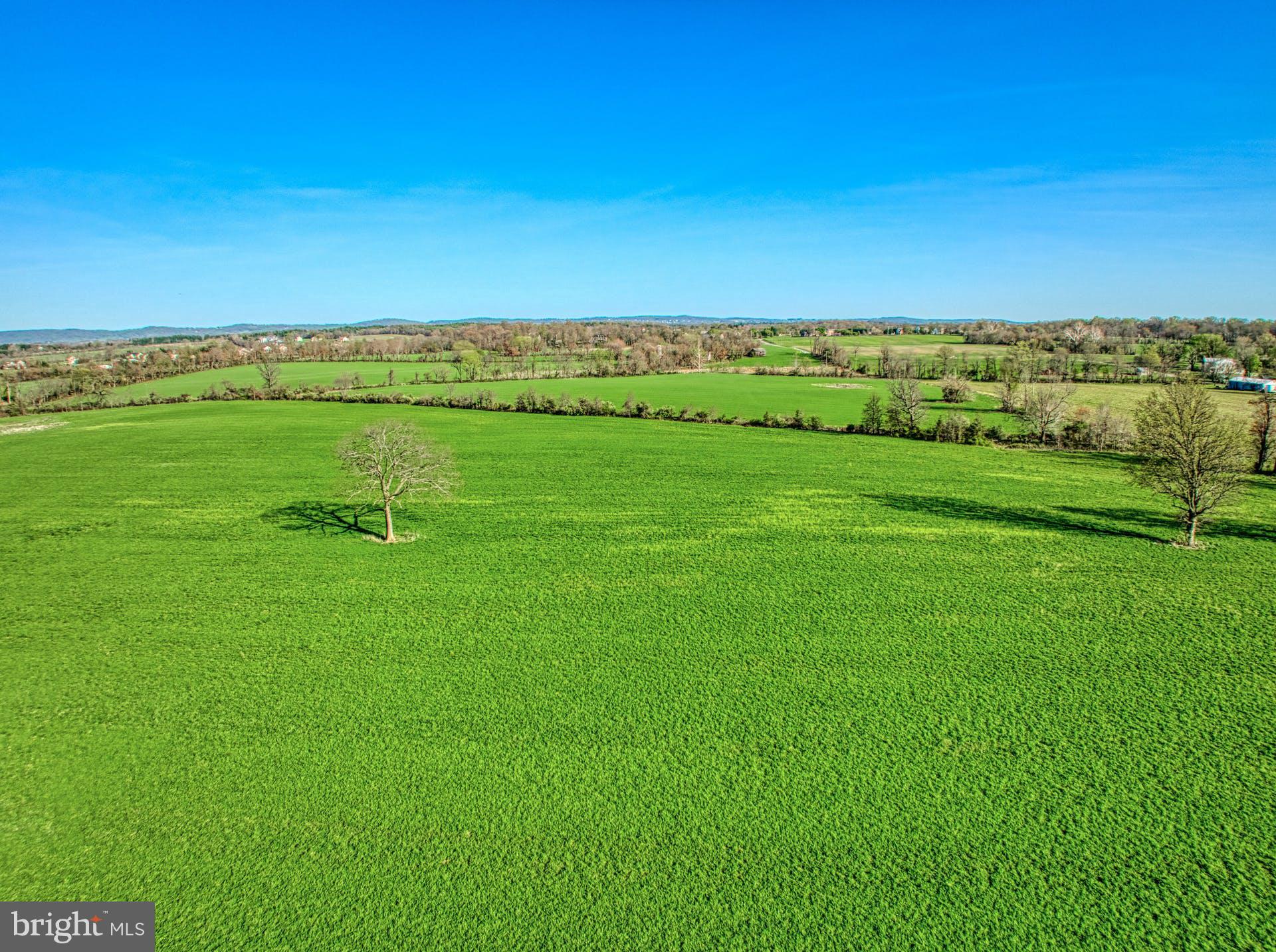 12347 Axline Road Lovettsville, VA 20180 - Photo 13 of 16 a view of a city
