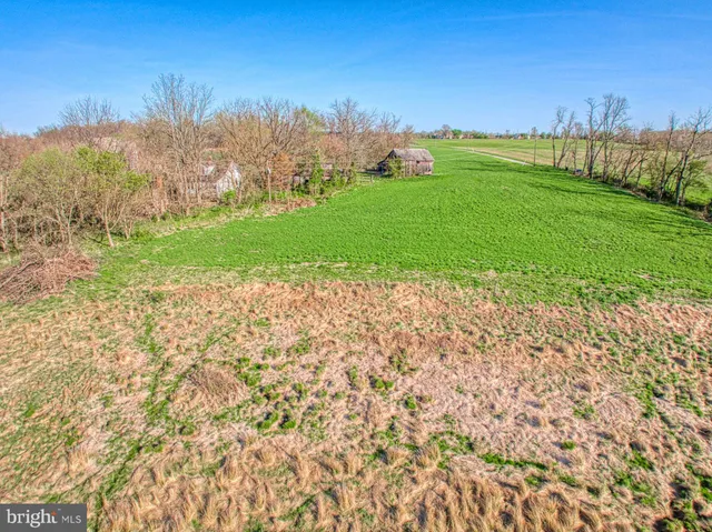a view of a pathway both side of grassy field with shrub