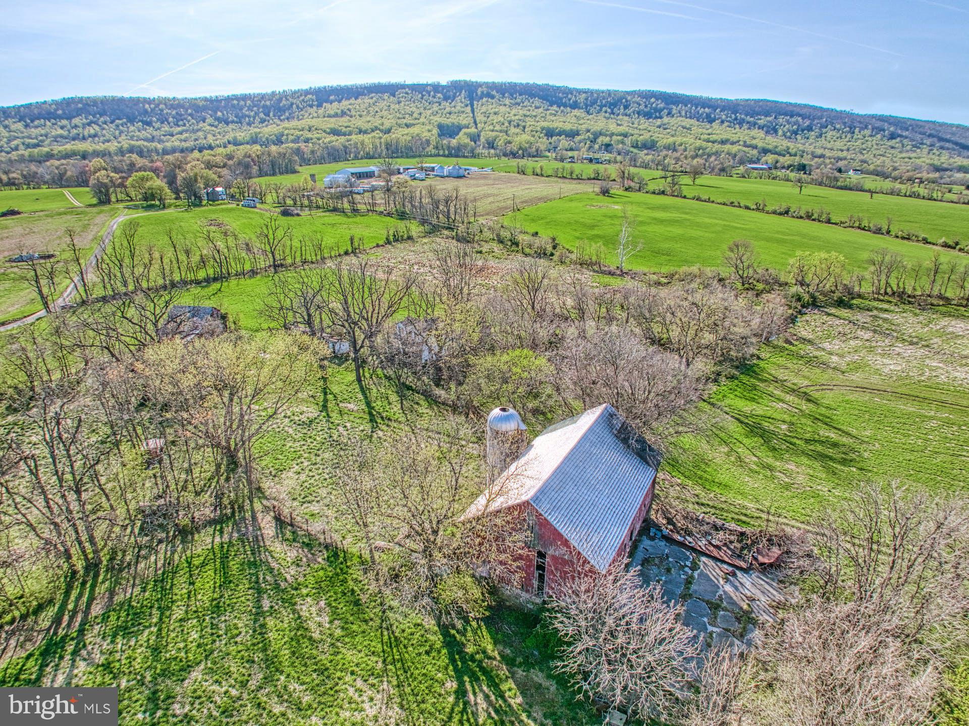 12347 Axline Road Lovettsville, VA 20180 - Photo 6 of 16 a view of a garden with an outdoor space