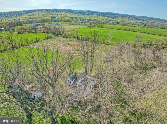 a view of a garden with a lake