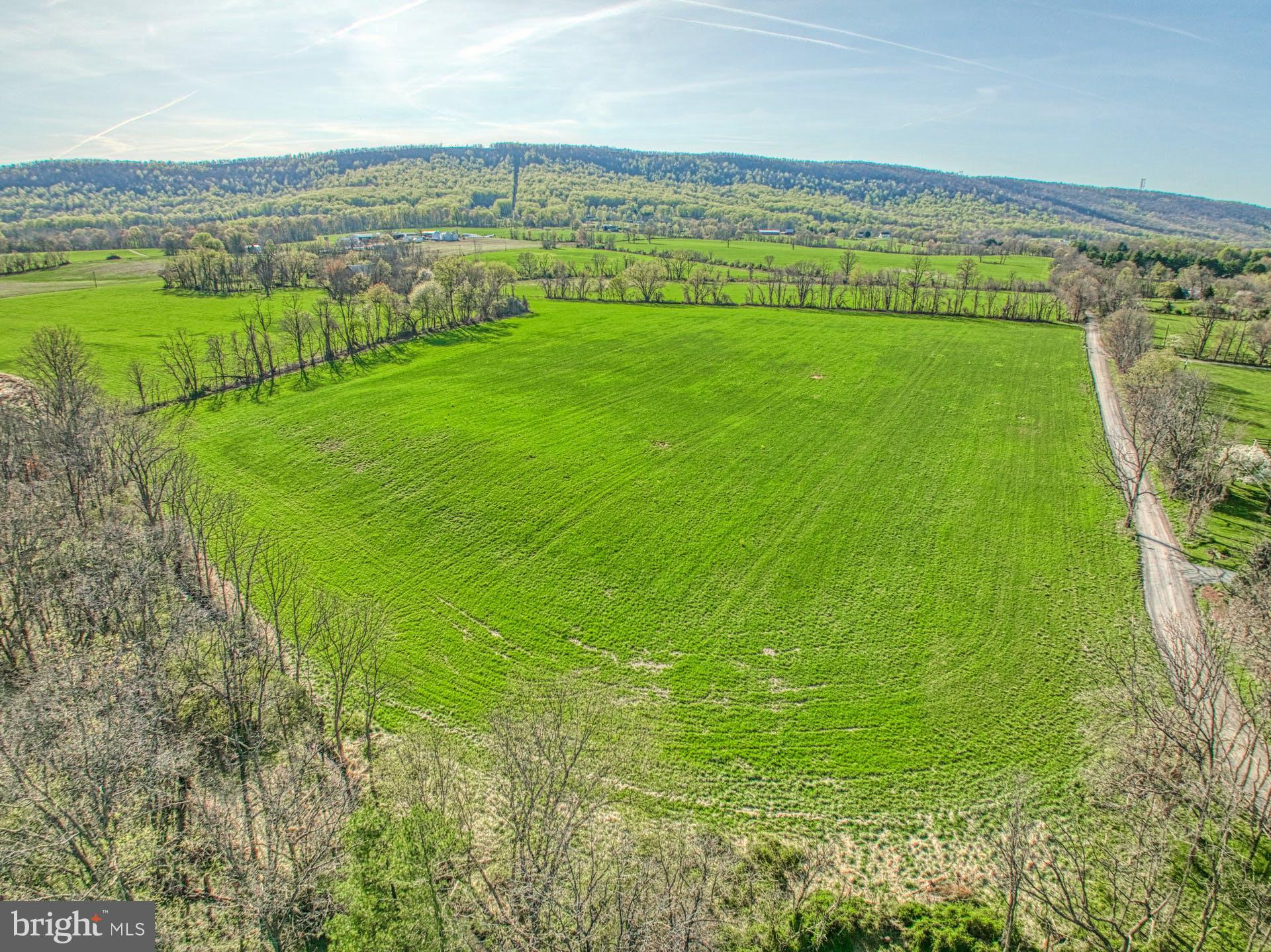 12347 Axline Road Lovettsville, VA 20180 - Photo 10 of 16 a view of field with ocean view
