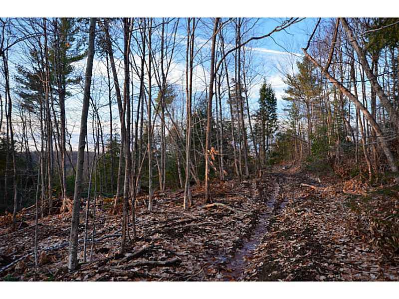 0 Lowell Road Springfield, ME 04487 - Photo 5 of 16 Land/Lot.