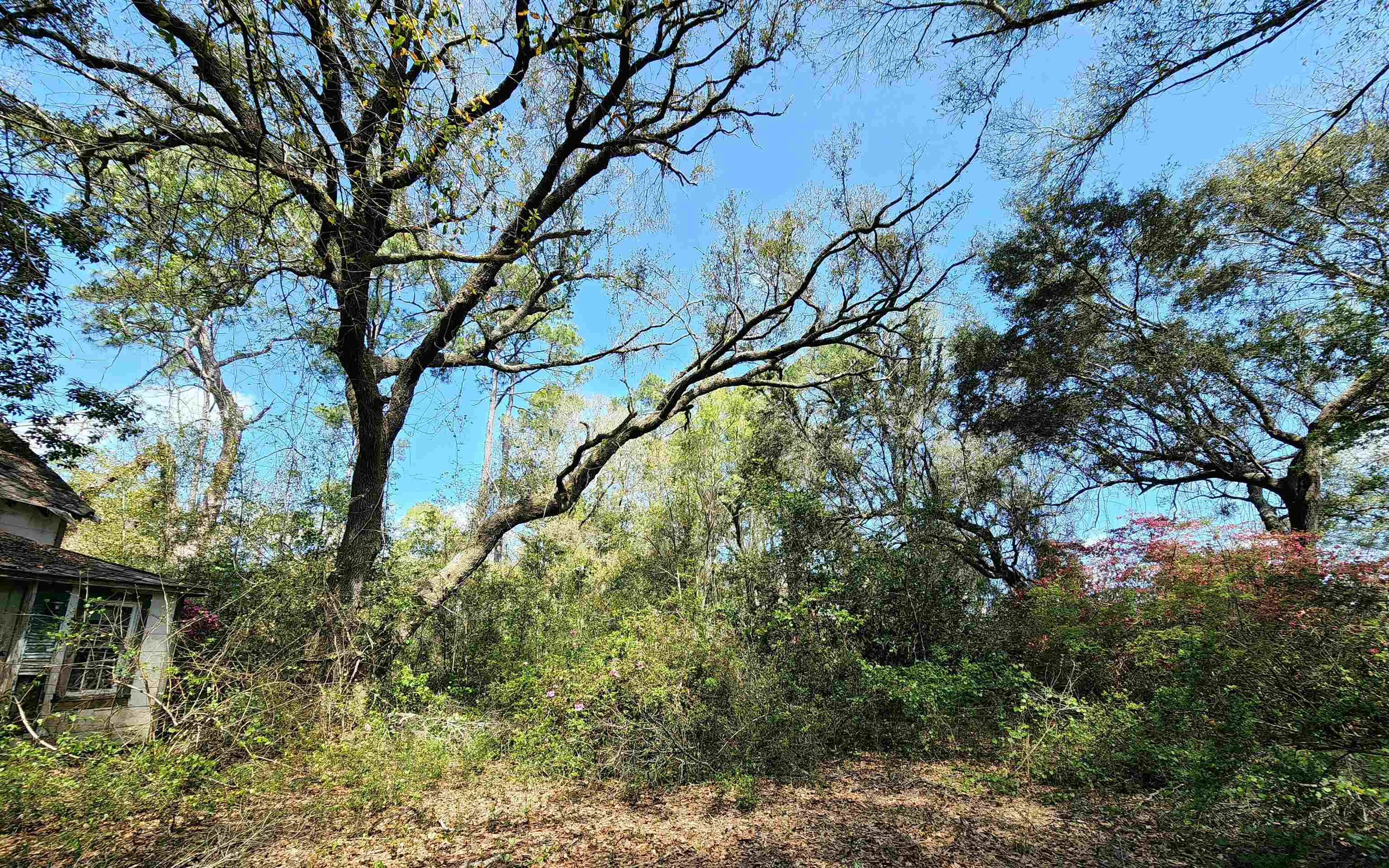 13315 North Perdido Street Lillian, AL 36549 - Photo 14 of 20
